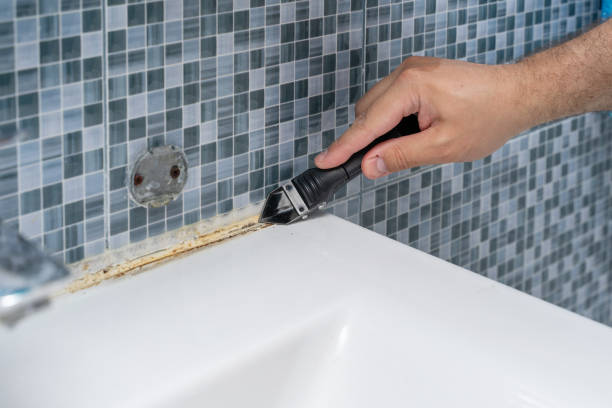 Best Mold Remediation Services  in Thorndale, PA